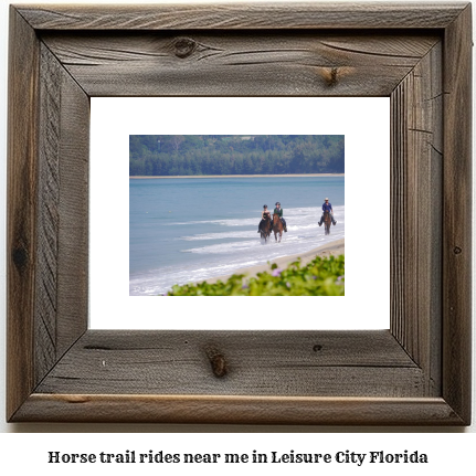 horse trail rides near me in Leisure City, Florida